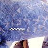 inscription of siglum Is.R 81