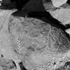 inscription of siglum Is.R 82