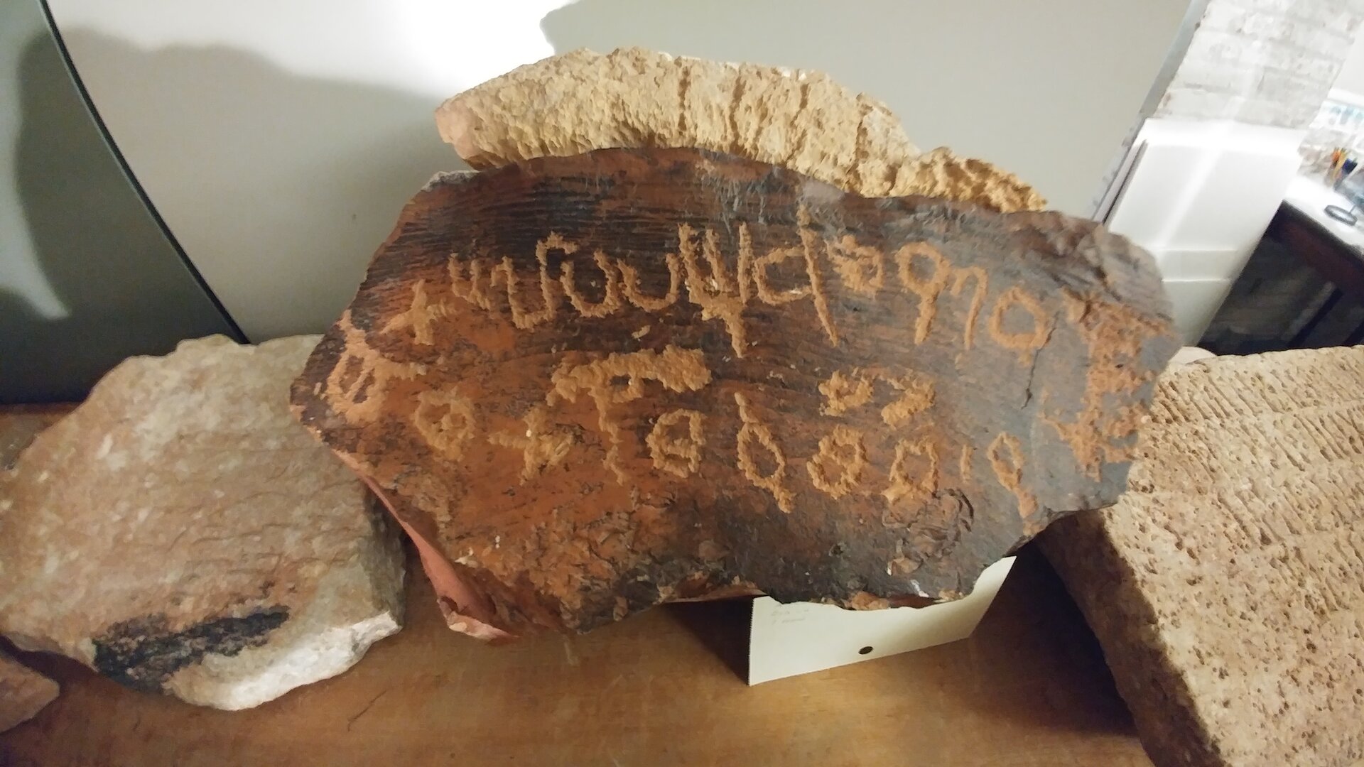 Image of JCCUA 1
