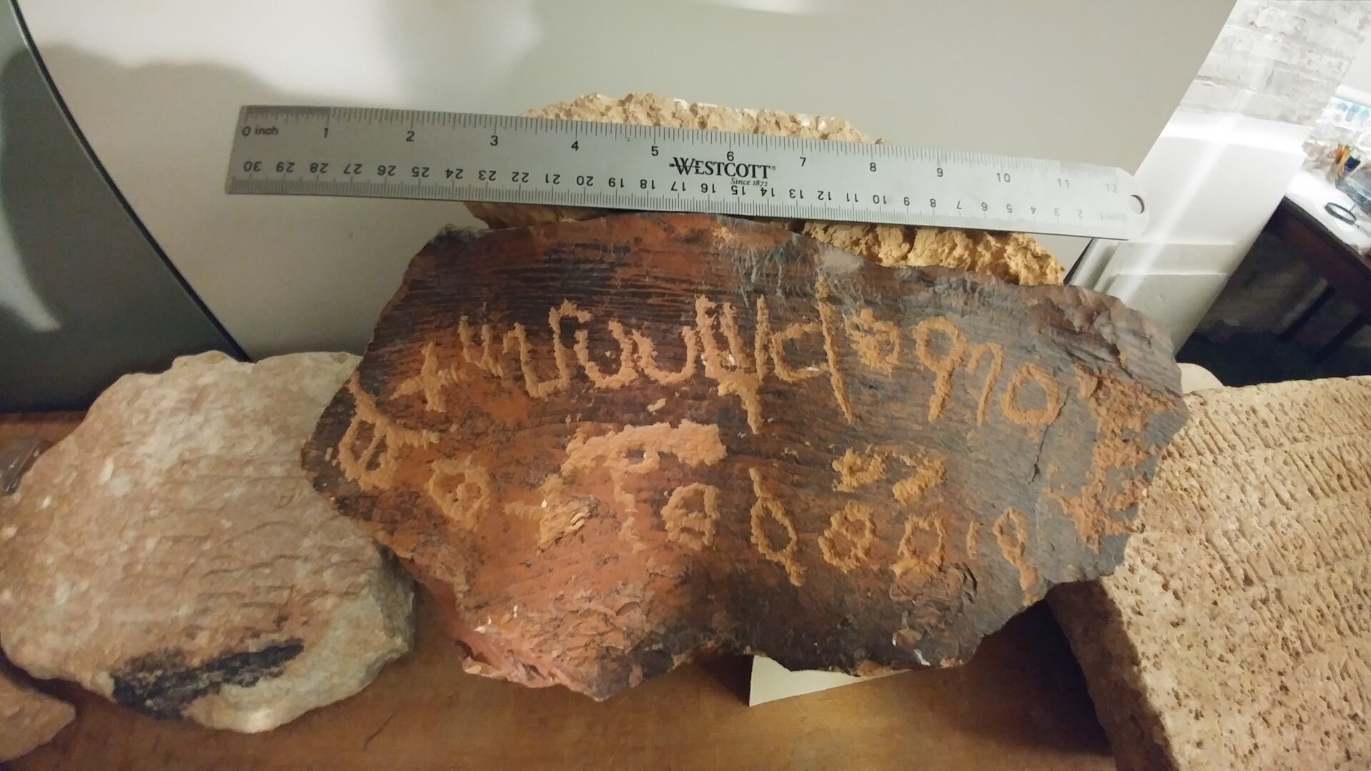 Image of JCCUA 1