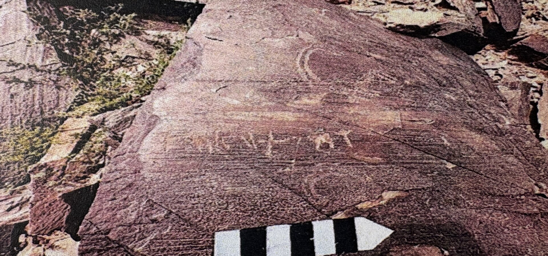Image of JInTham 3