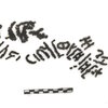 inscription of siglum JMAS 1