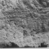 inscription of siglum JSLih 186