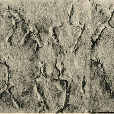 inscription of siglum JSLih 230