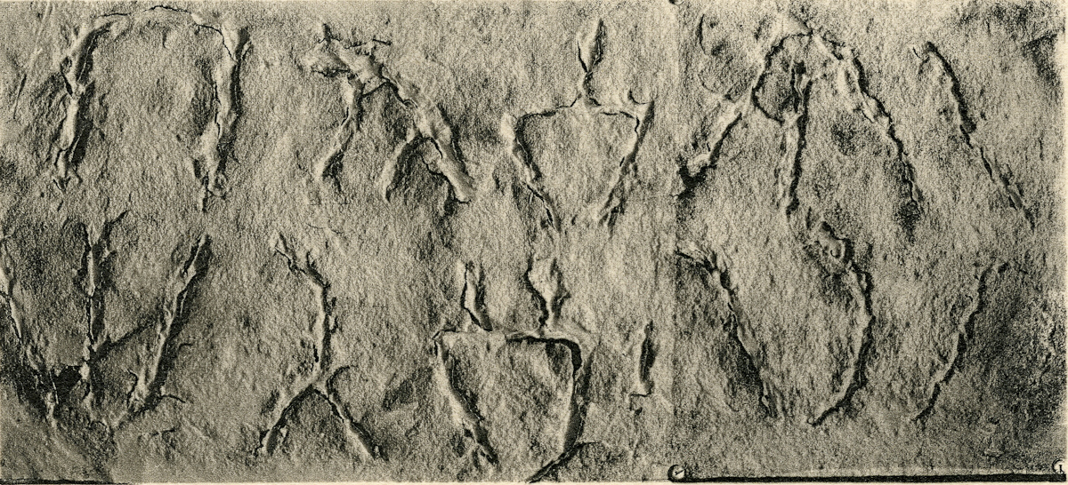 inscription of siglum JSLih 230