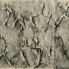 inscription of siglum JSLih 230