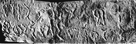 inscription of siglum JSLih 256