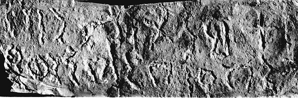 inscription of siglum JSLih 256