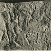 inscription of siglum JSLih 256