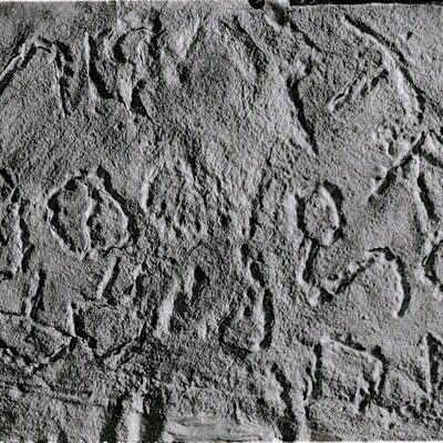 inscription of siglum JSLih 259