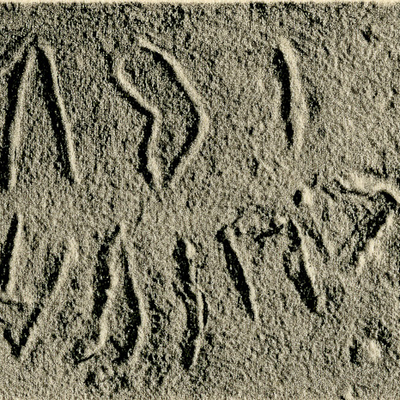 inscription of siglum JSLih 260