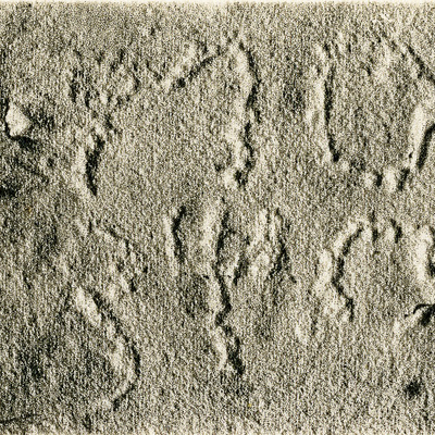 inscription of siglum JSLih 270