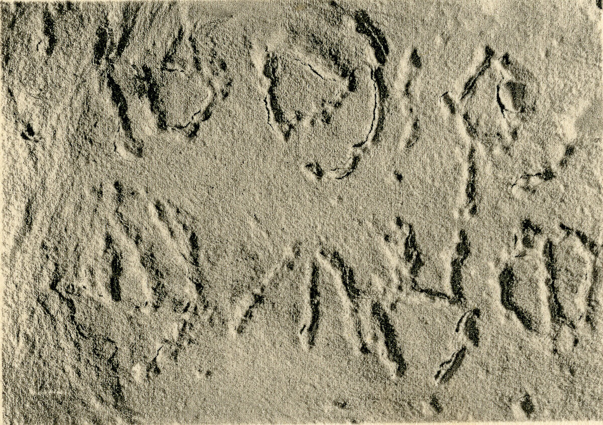 inscription of siglum JSLih 271