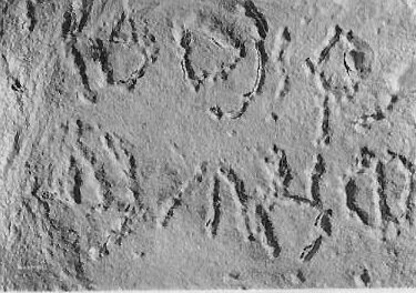 inscription of siglum JSLih 271