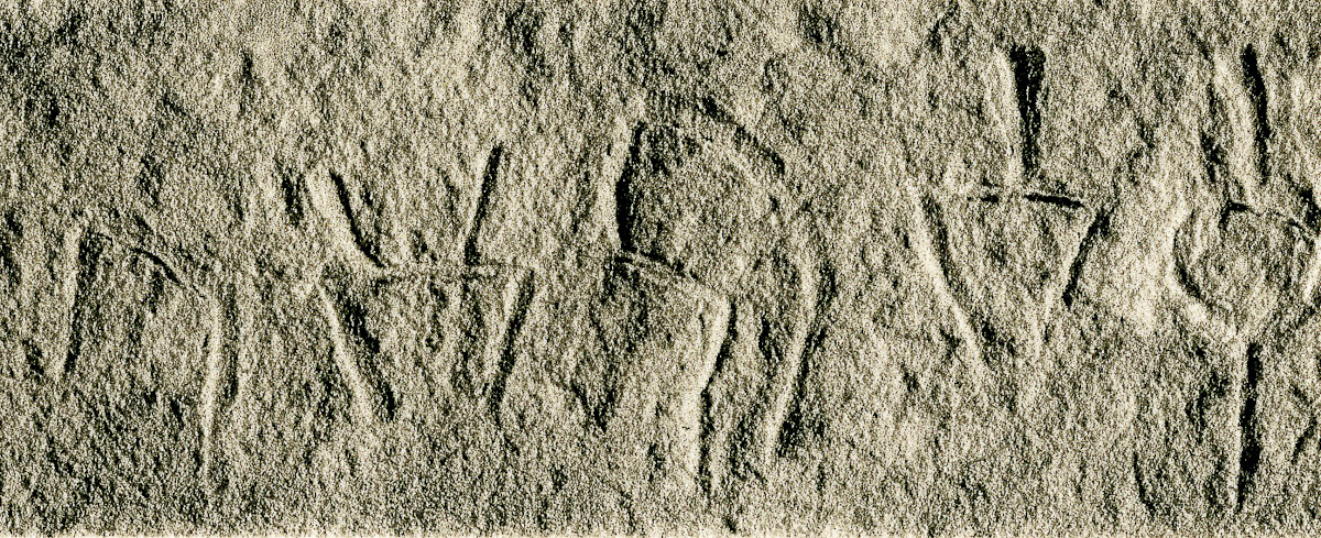 inscription of siglum JSLih 287