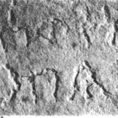 inscription of siglum JSLih 292