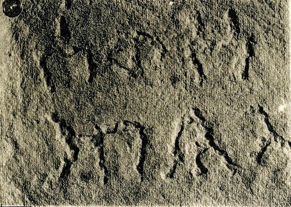 inscription of siglum JSLih 292