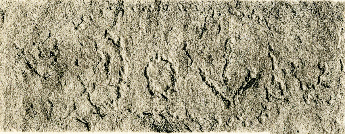 inscription of siglum JSLih 297