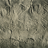 inscription of siglum JSLih 312