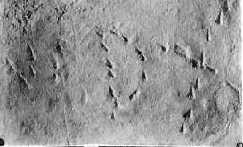inscription of siglum JSLih 315