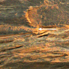 inscription of siglum JSTham 521