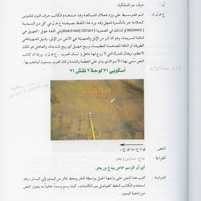 inscription of siglum JSTham 538
