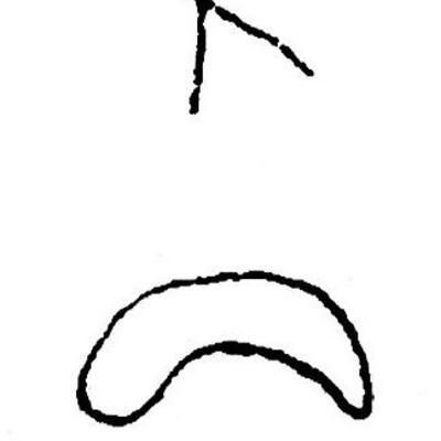 inscription of siglum JSTham 733