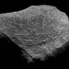 inscription of siglum JaS 100.2