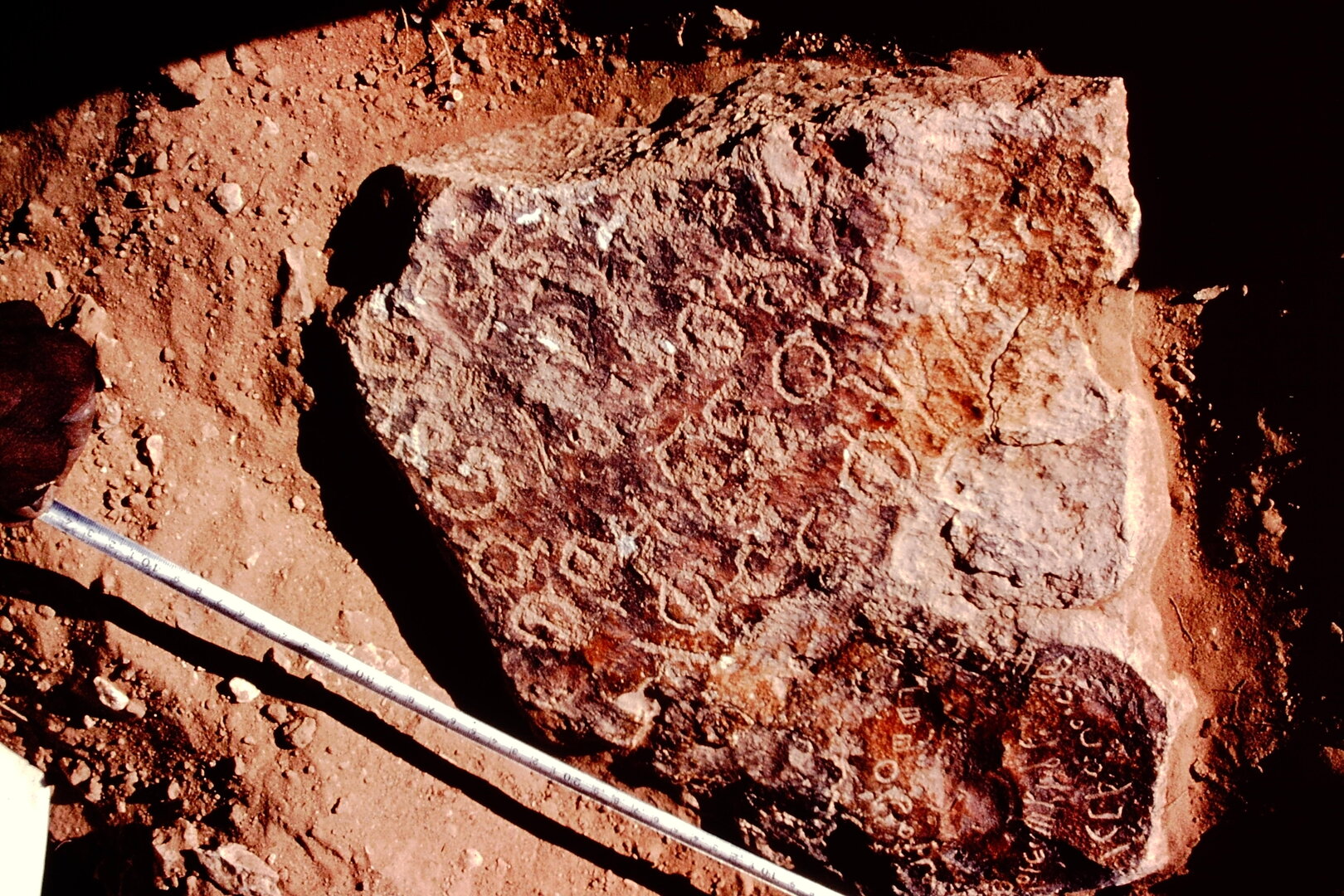 inscription of siglum JaS 134.1