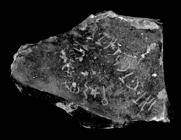 inscription of siglum JaS 168