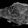 inscription of siglum JaS 168