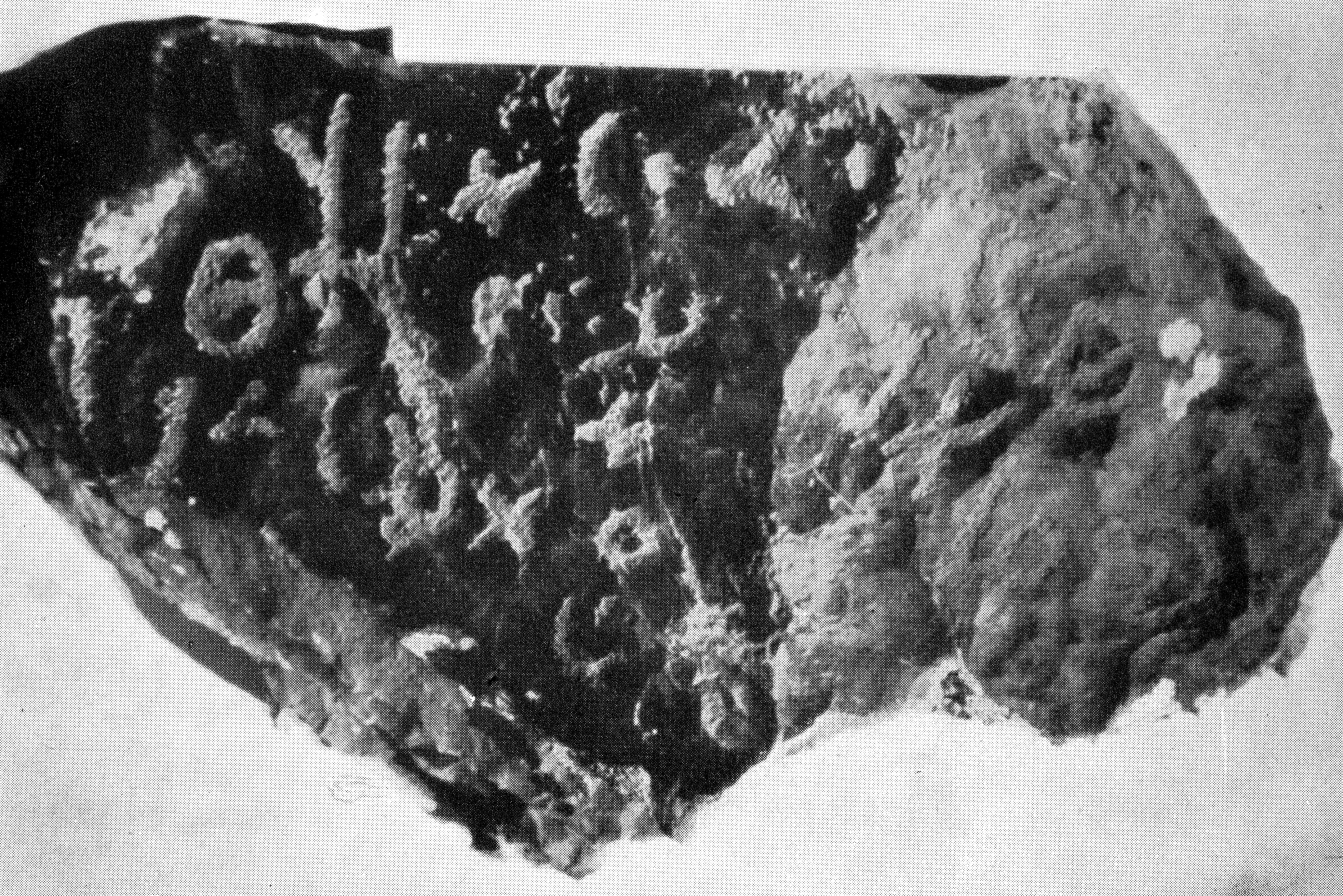 inscription of siglum JaS 20