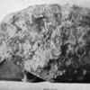 inscription of siglum JaS 22