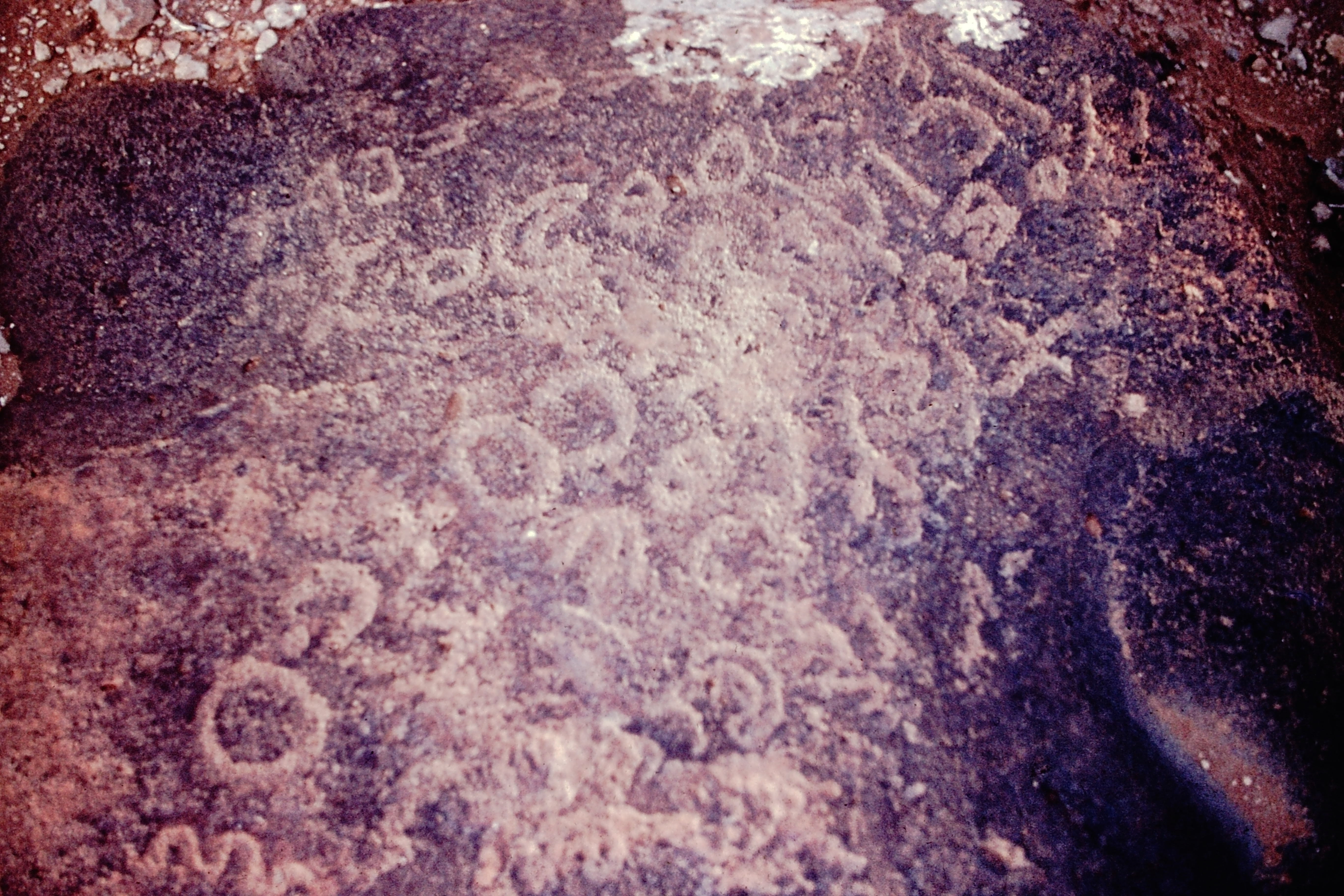 inscription of siglum JaS 75.4