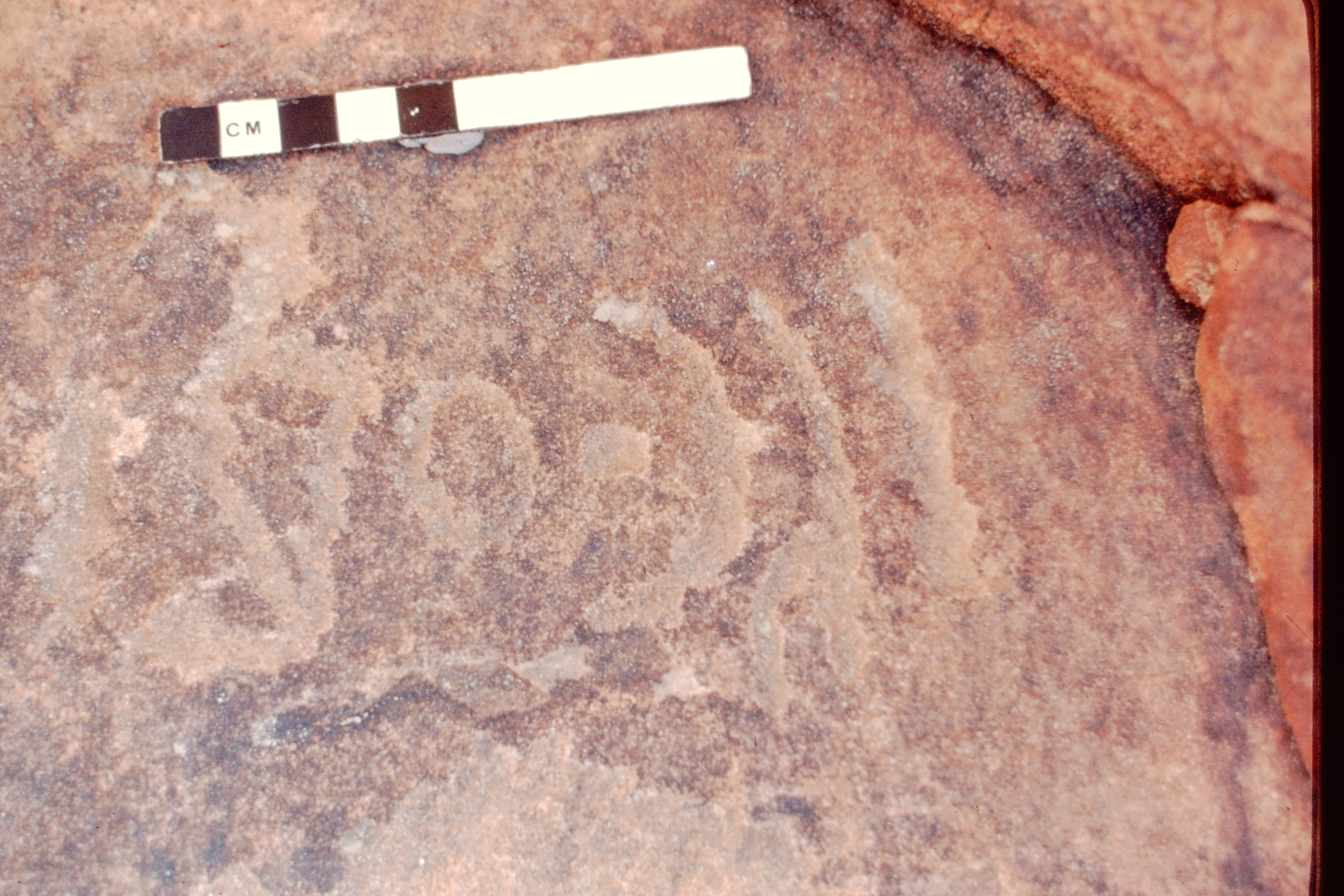 inscription of siglum Jacobson A.13.C.5