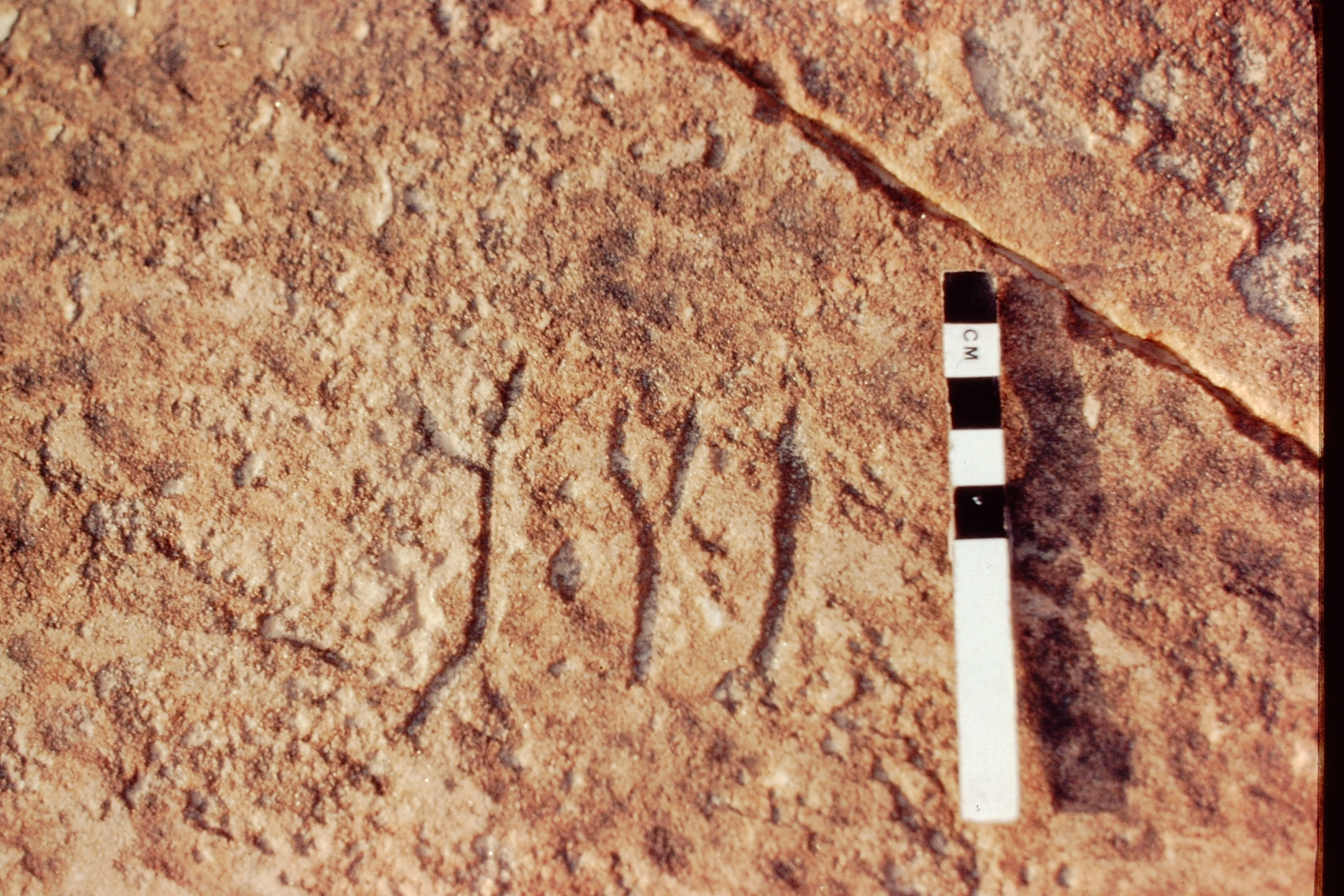 inscription of siglum Jacobson A.13.D.2