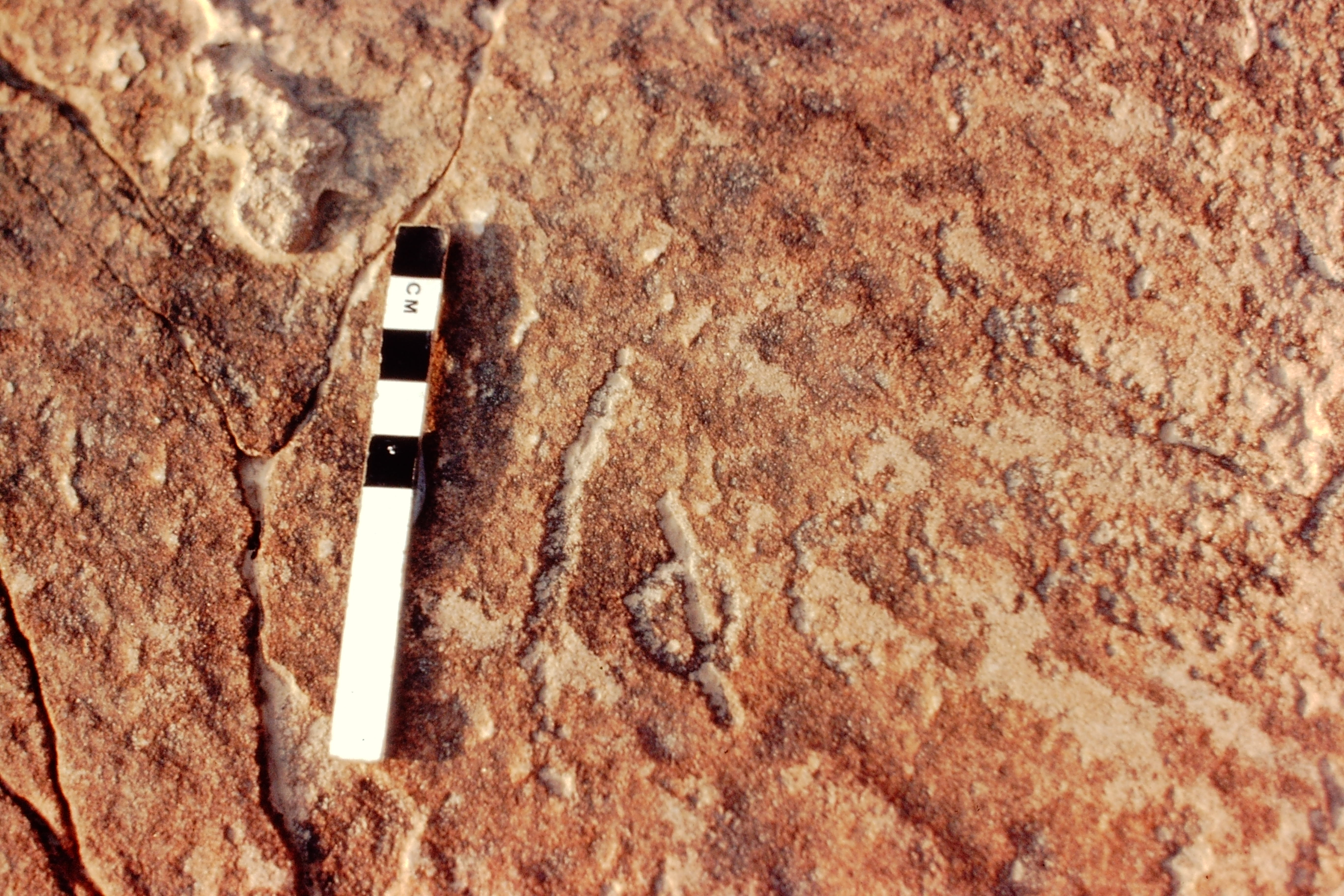 inscription of siglum Jacobson A.13.D.3