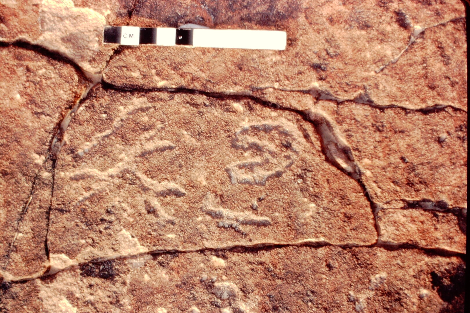 inscription of siglum Jacobson A.13.D.4