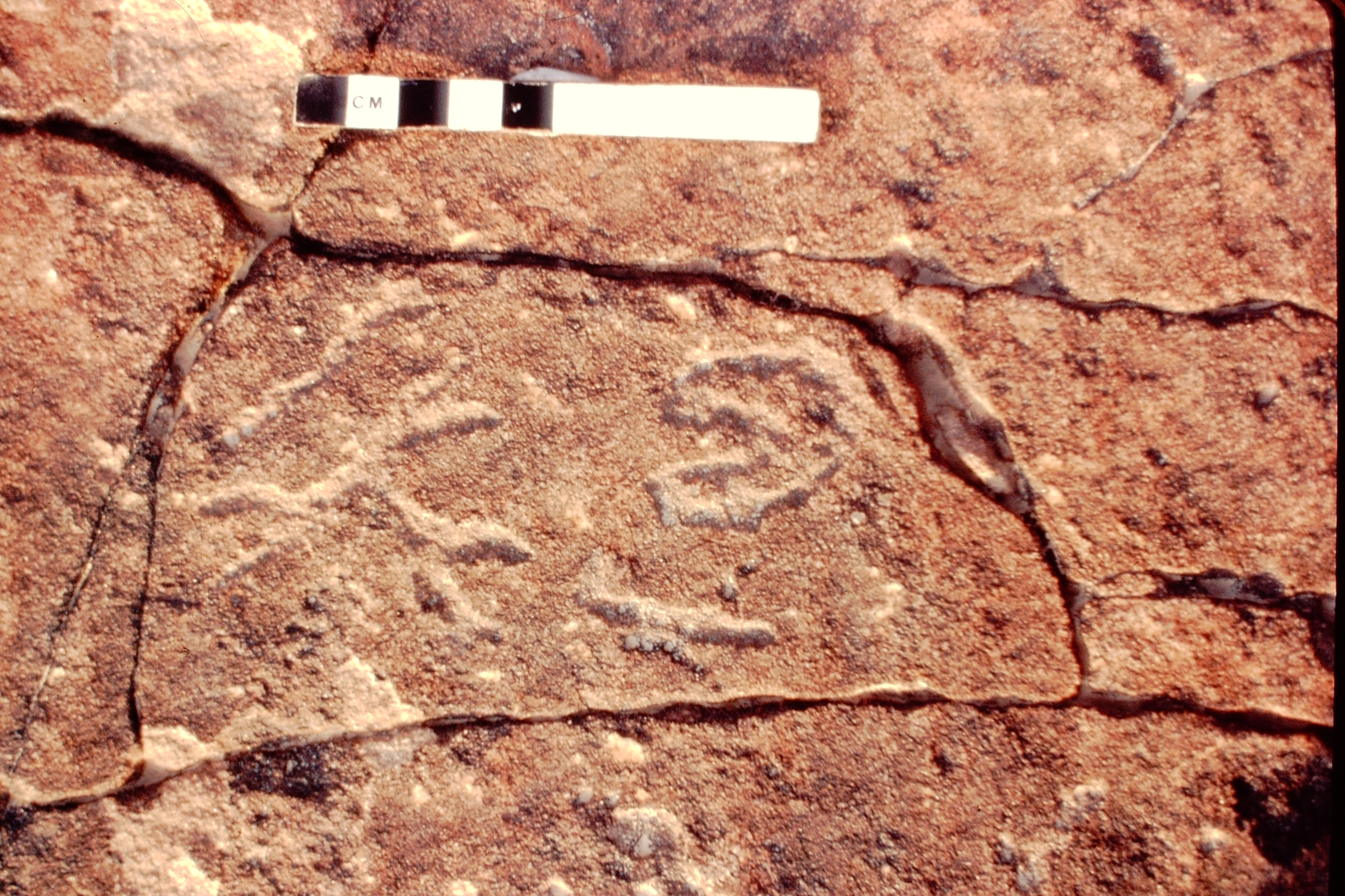 inscription of siglum Jacobson A.13.D.4
