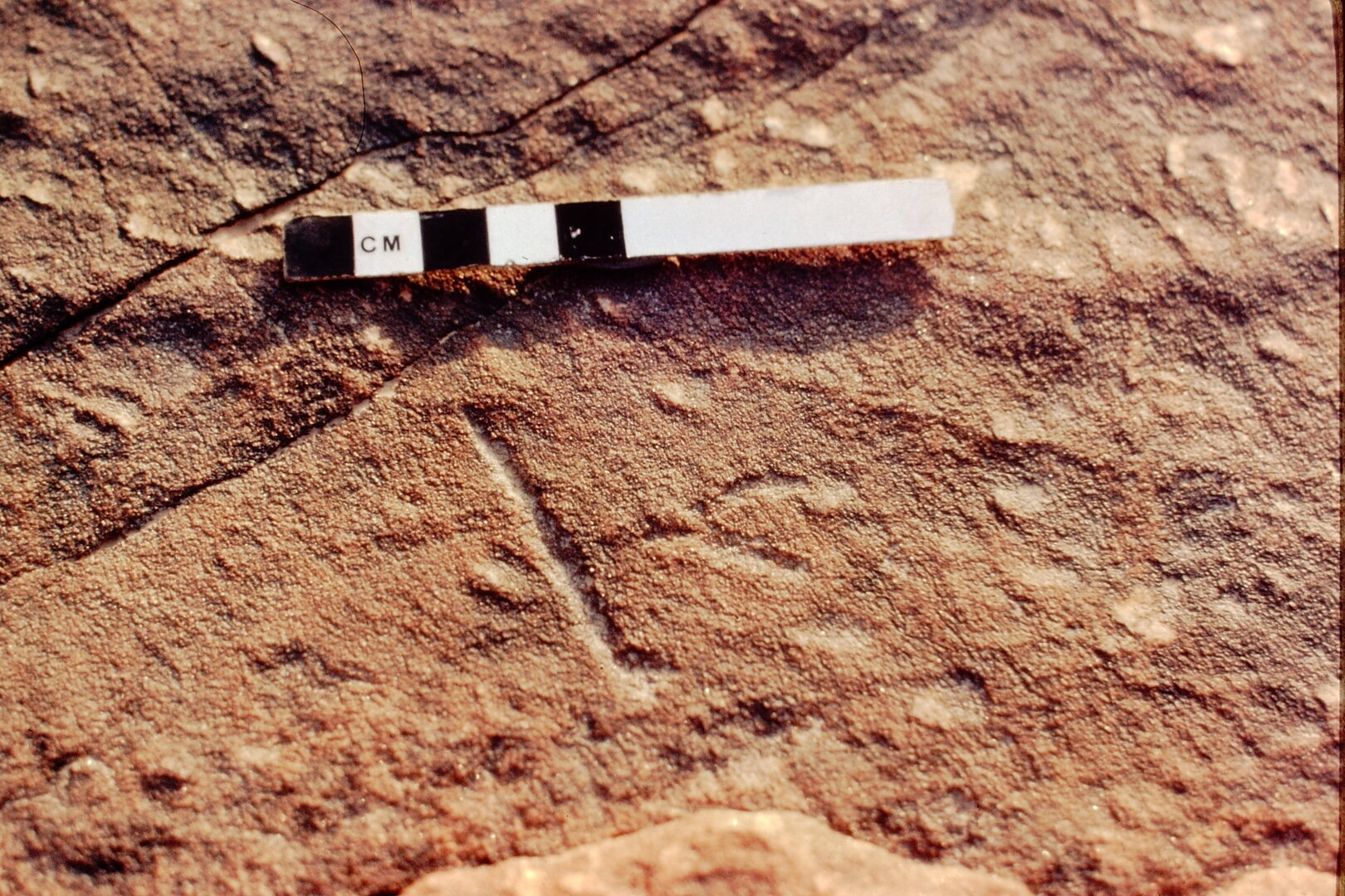 inscription of siglum Jacobson A.13.D.6