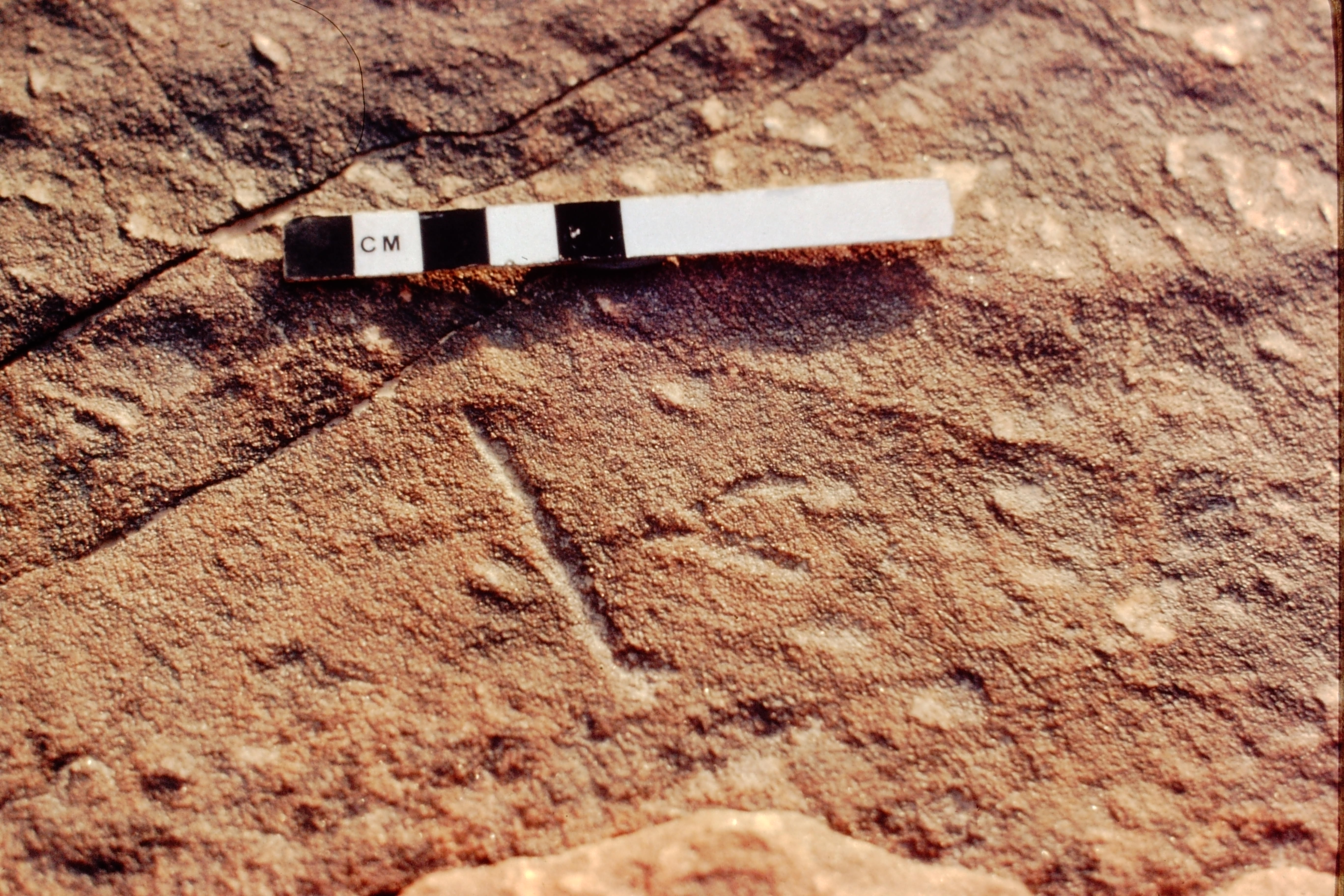 inscription of siglum Jacobson A.13.D.6