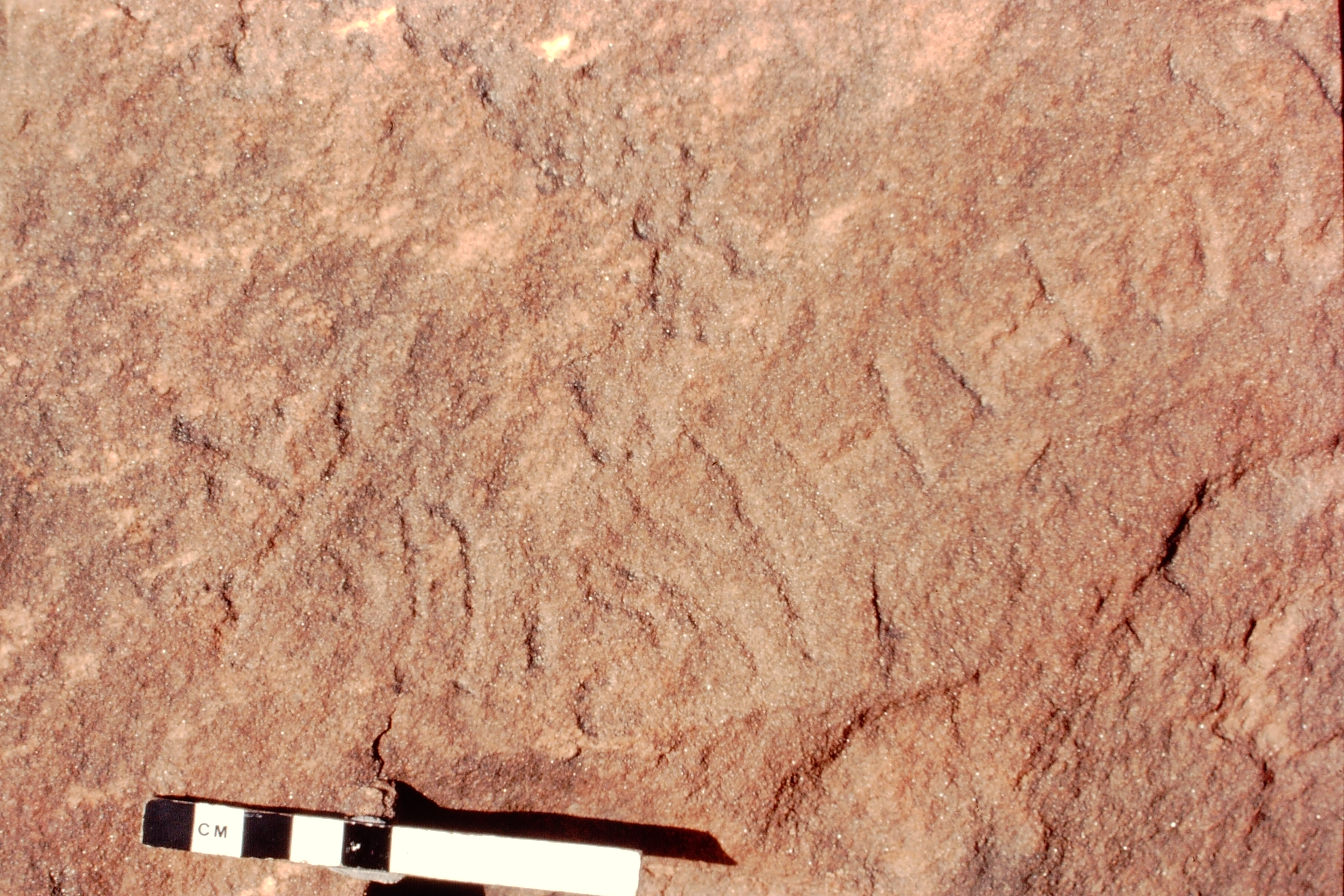 inscription of siglum Jacobson A.16.1