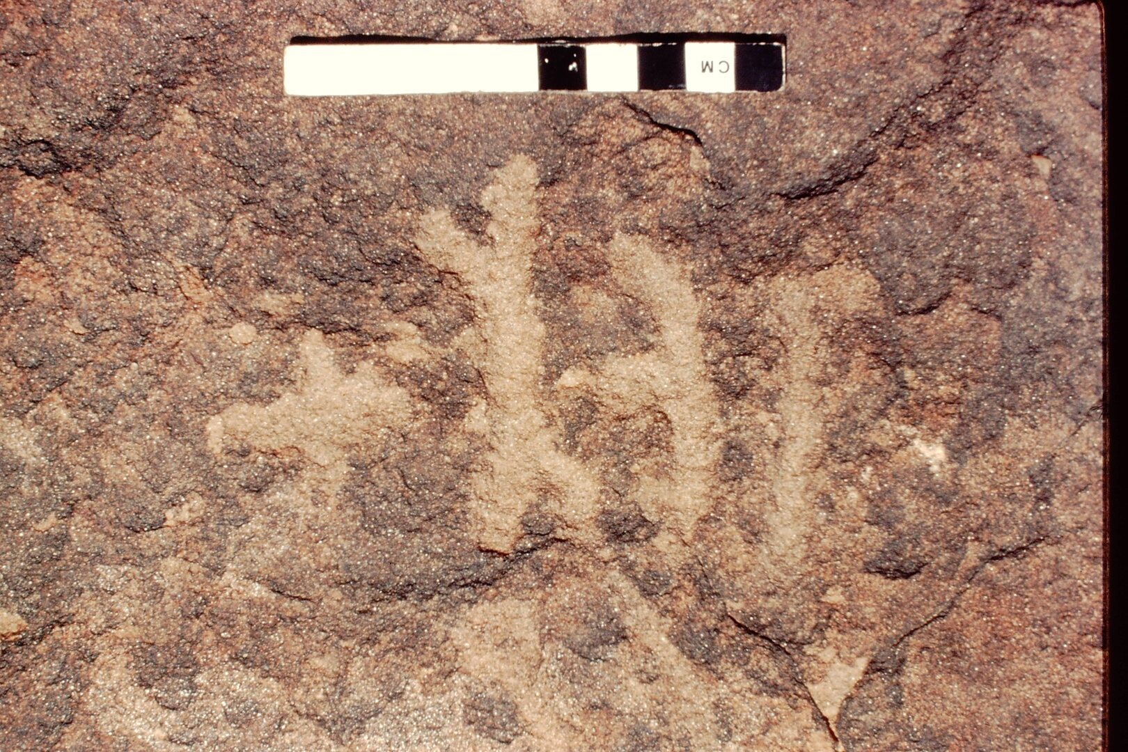 inscription of siglum Jacobson A.7.A.5