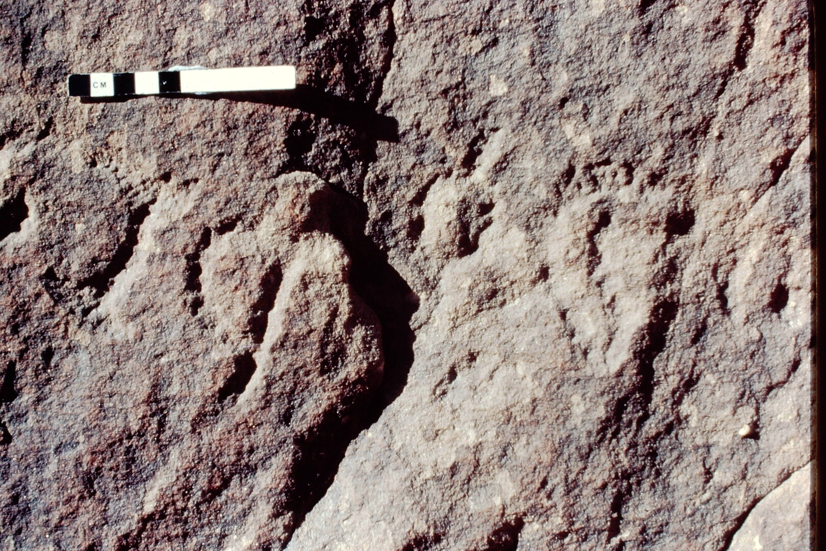 inscription of siglum Jacobson B 1.15
