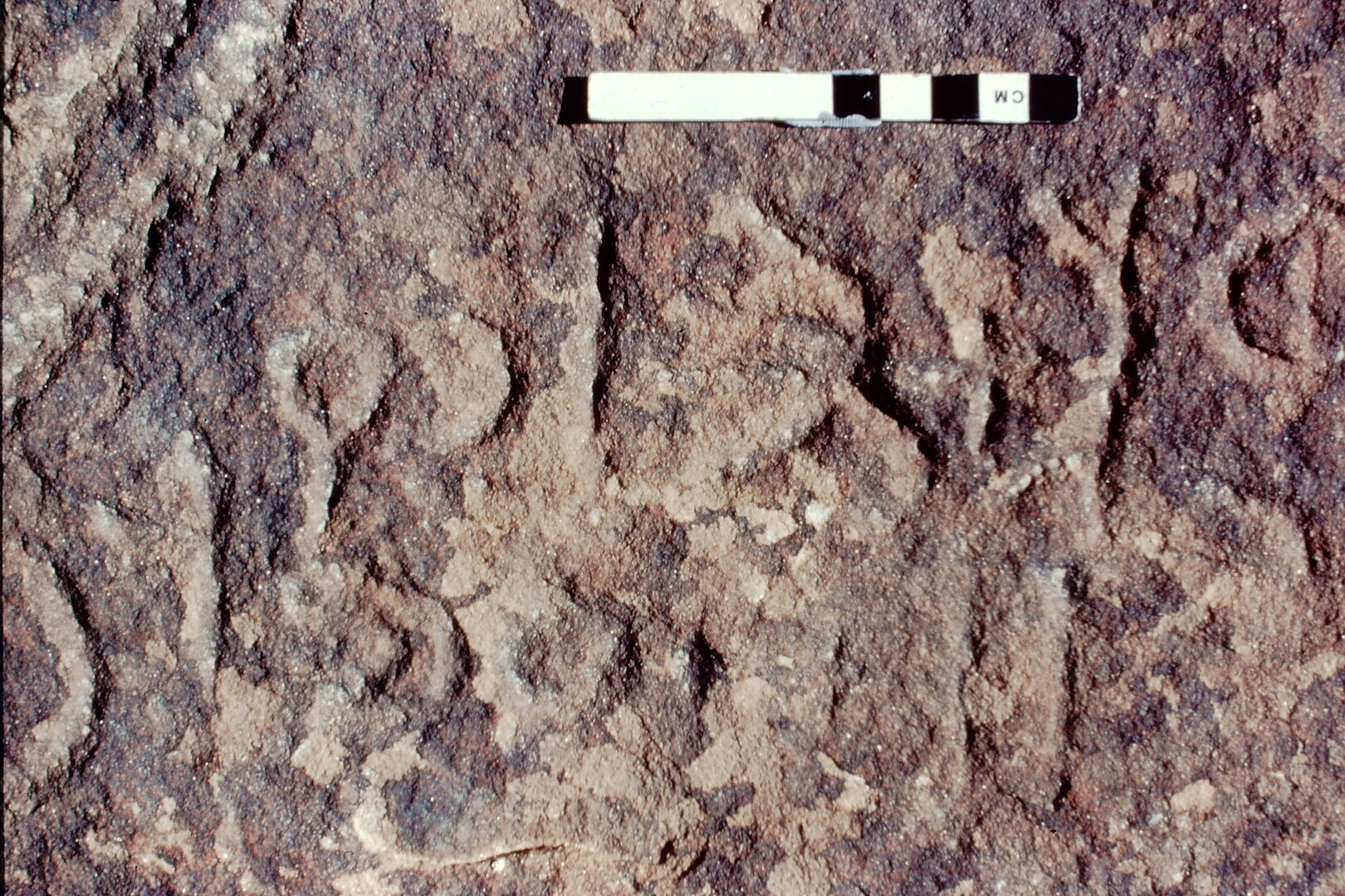 inscription of siglum Jacobson B 1.4
