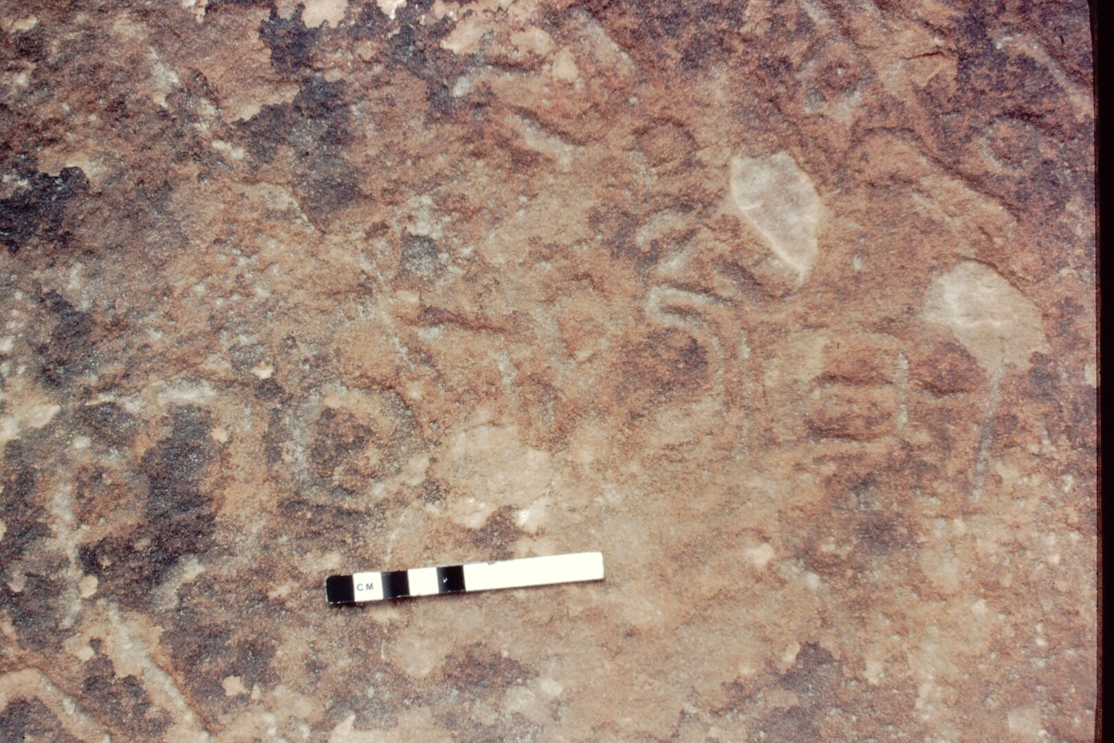 inscription of siglum Jacobson B 2.5
