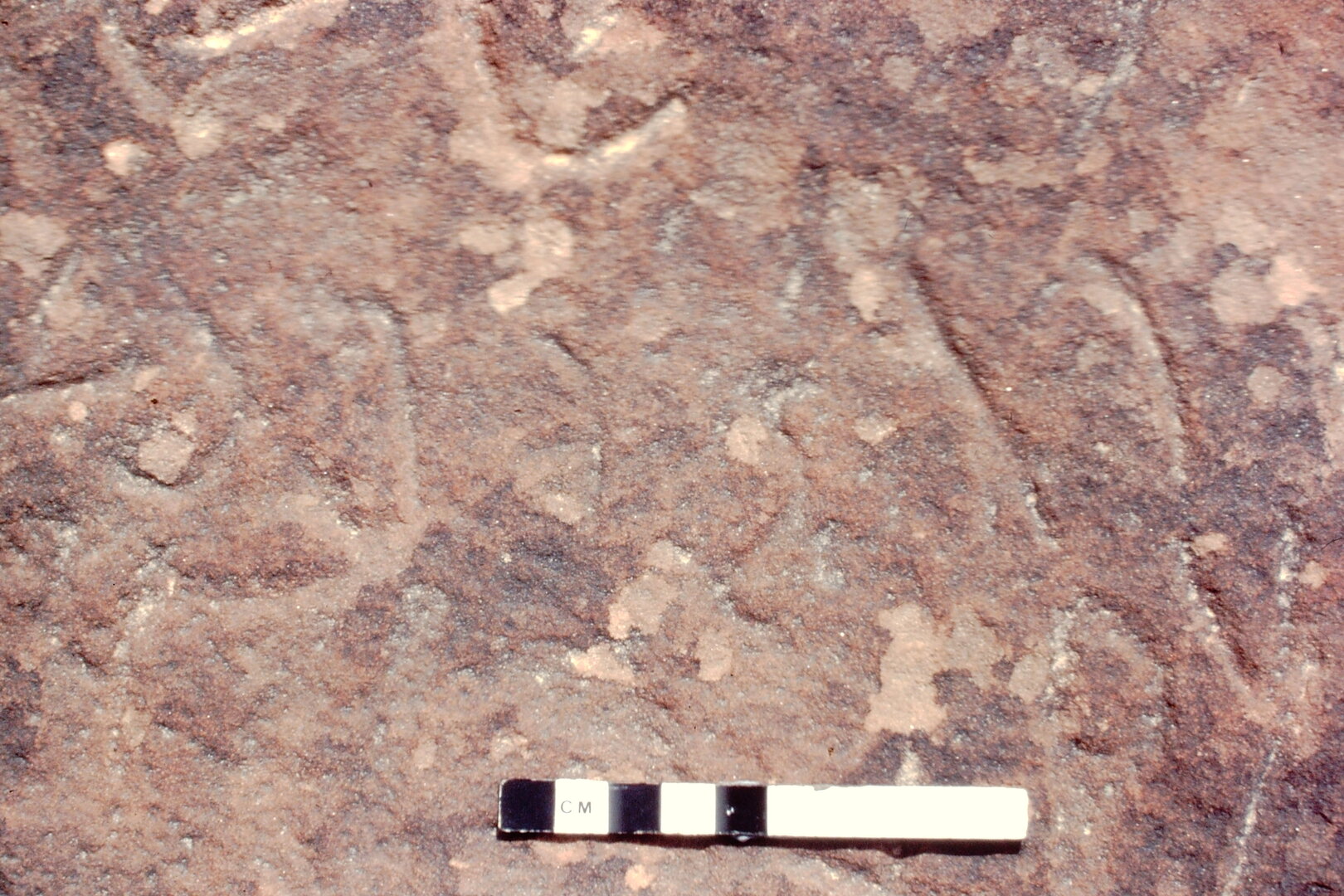 inscription of siglum Jacobson B 2.8