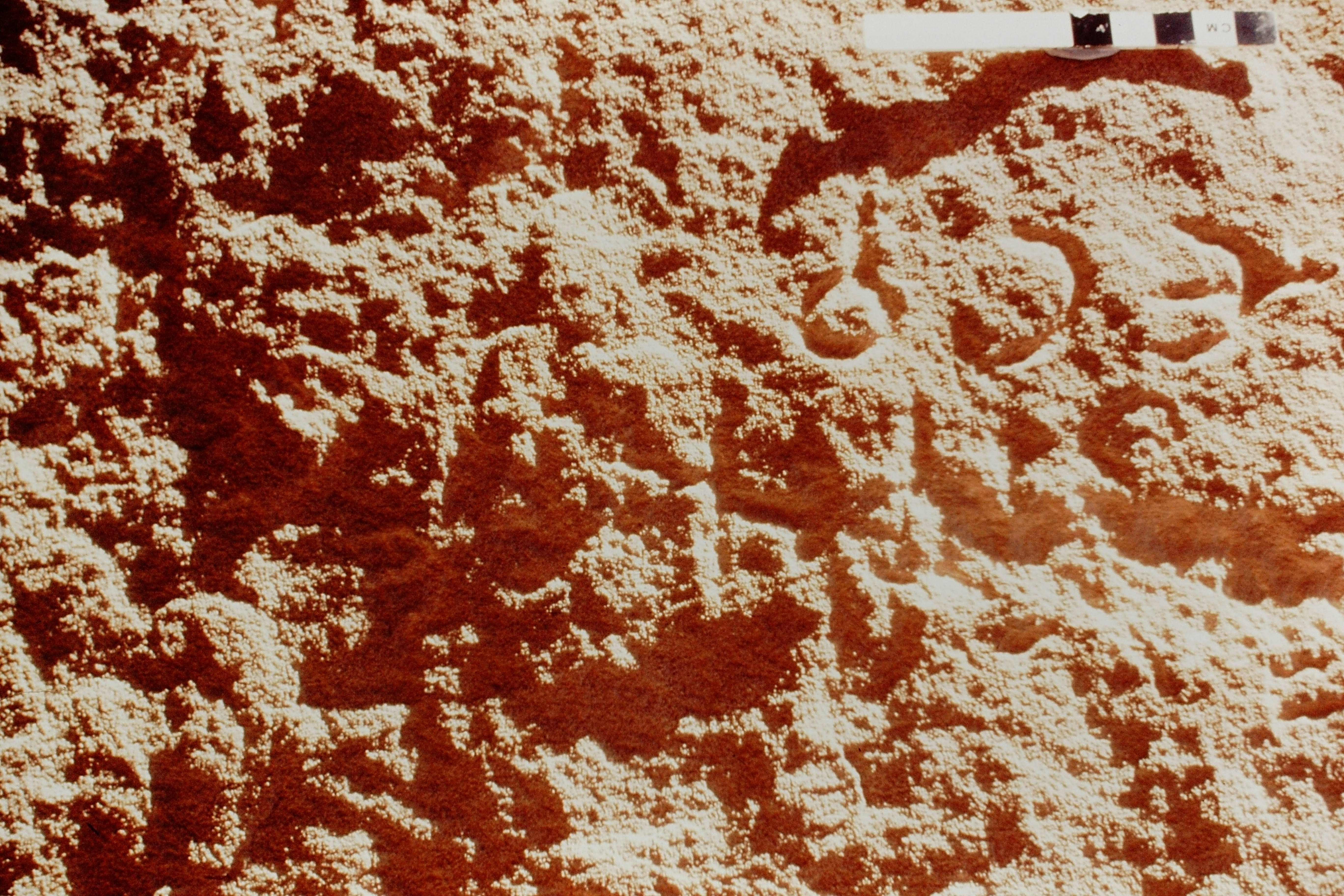 inscription of siglum Jacobson B.3.A.10 a