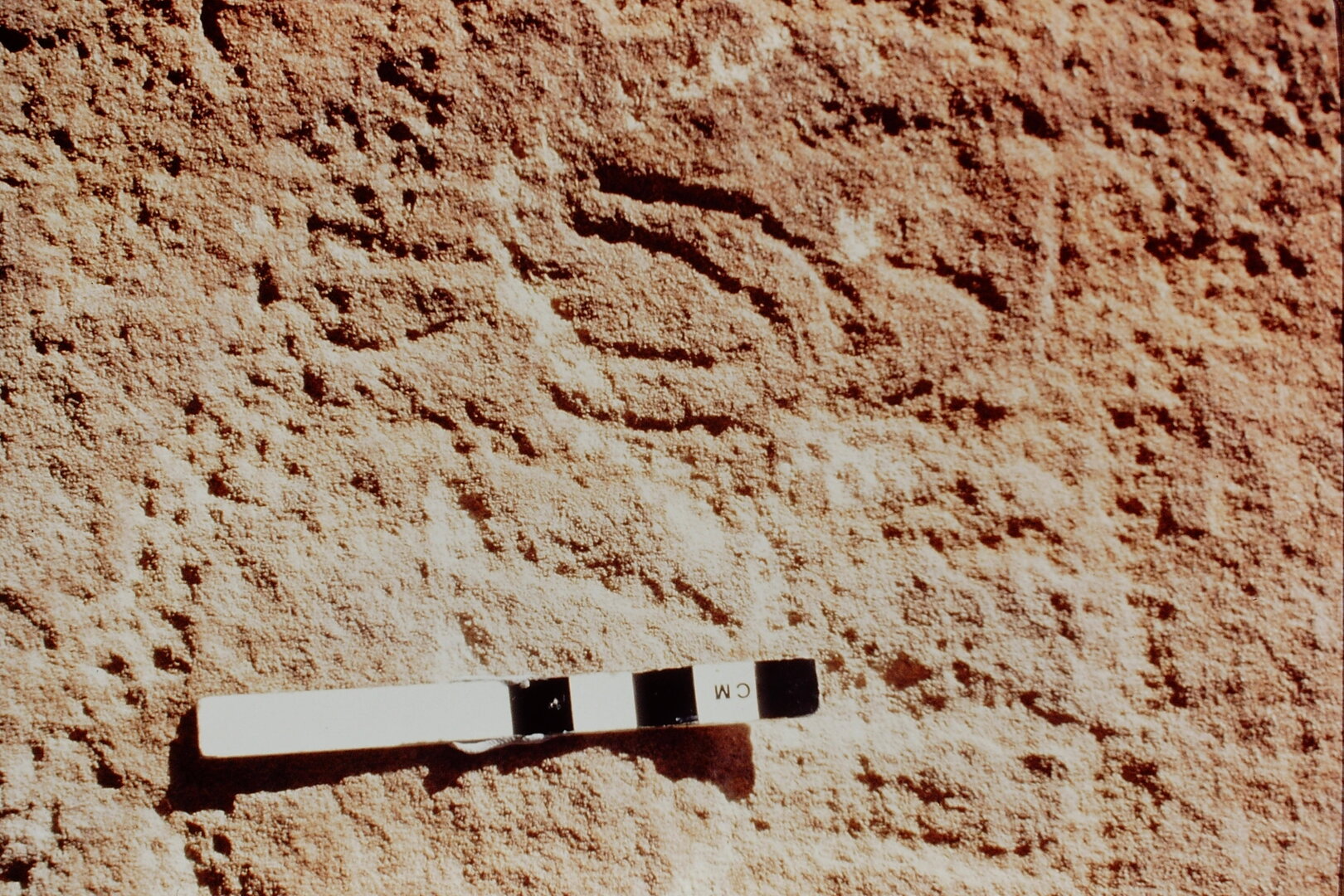 inscription of siglum Jacobson B.3.A.11
