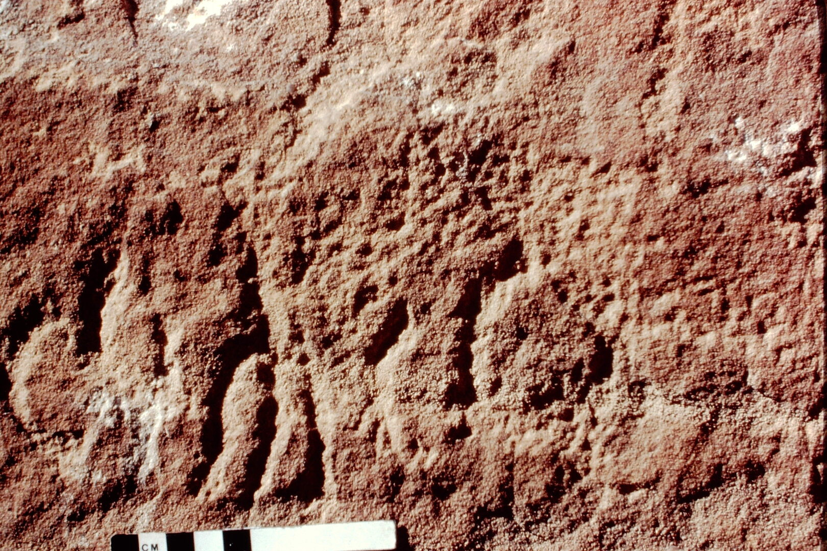 inscription of siglum Jacobson B.3.A.7